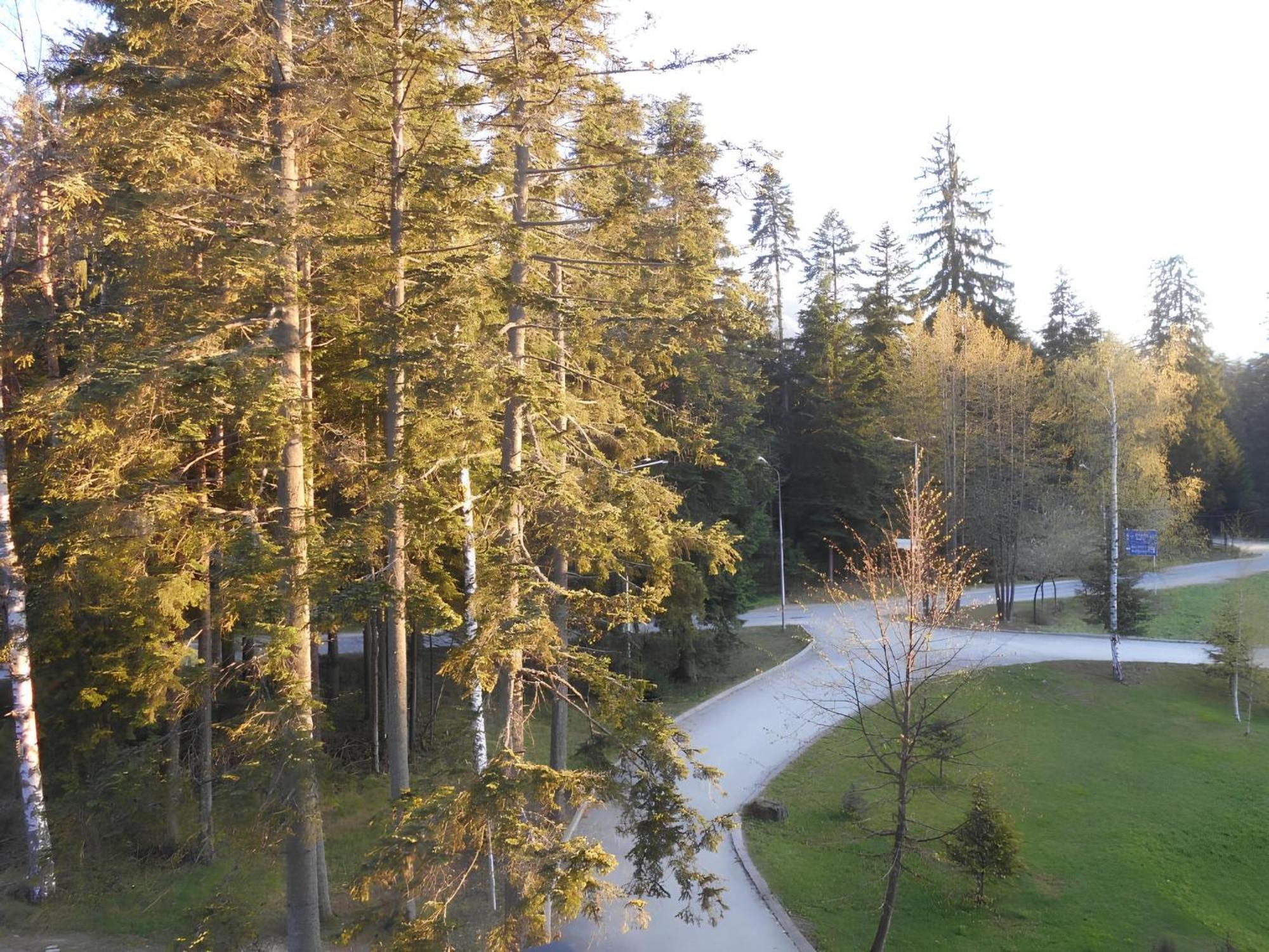 Neat Studios In "Borovets Gardens" Hotel Extérieur photo